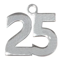 6 Decori per Bomboniere 25° Anniversario Argento cm. 3x2,5 | ChartaRè