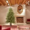 Albero Pino Luxury con Led EDG fino a 3 MT