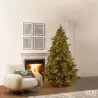 Albero Pino Argentato con Mini Led Regolabili EDG fino a 3 MT