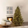Albero Pino Argentato con Mini Led Regolabili EDG fino a 3 MT