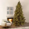 Albero Pino Argentato con Mini Led Regolabili EDG fino a 3 MT