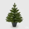 Pine Tree Mix with PVC Pot cm.60 EDG