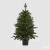 Pine Tree Mix with PVC Pot cm.60/90 h EDG