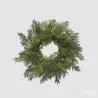 Green Crown Thuja with Berries dm. 35 cm