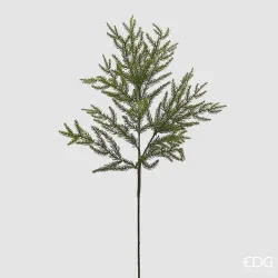 Green Cryptomeria Branch cm.84 EDG