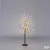 Luminous Beech Tree with Gold/Black LED Choice in Various EDG Sizes