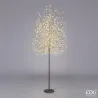 Luminous Beech Tree with Gold/Black LED Choice in Various EDG Sizes
