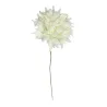 24 Ravello flowers diameter cm.6 cream