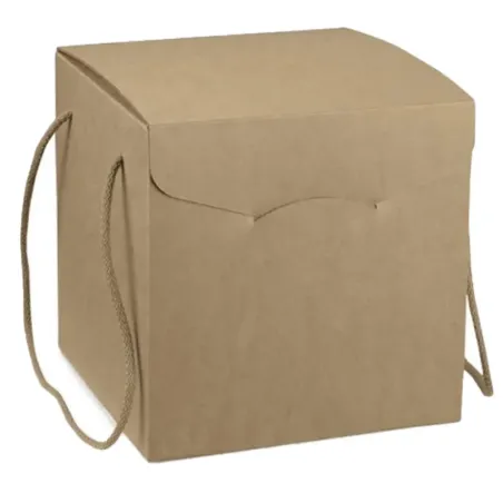 Secret Box with Havana Cords