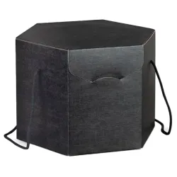 Caixa Hexagonal Preta com Cabos, Ideal para Embalagem de Presente