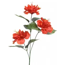 De bloem van de hibiscus met stam