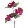 Flor de hibisco com haste