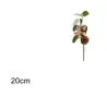 20cm