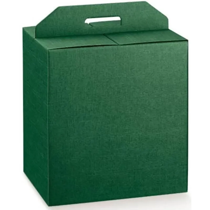 Boîte de bouteille de panettone et de soie verte