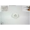 Box 12 Rose con Molletta in Vari Colori