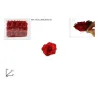 rosse