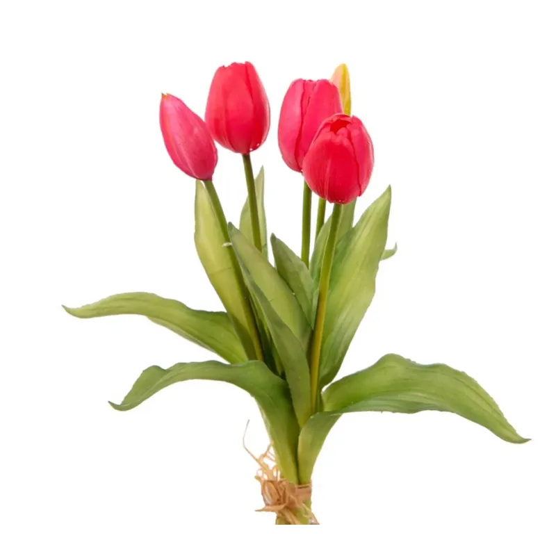 Natural Touch Tulipán különböző színek | ChartaRè