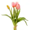 Natural Touch Tulpen Diverse Kleuren