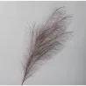 Ramo Pampas Vari Colori e Altezze | ChartaRè
