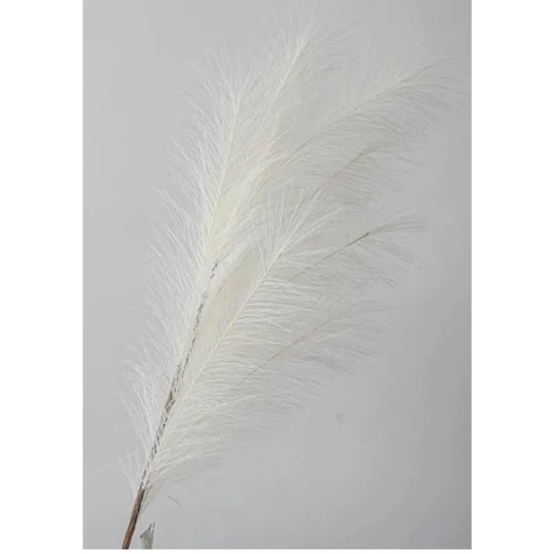 Pampas Branch Various Colors and Heights | ChartaRè