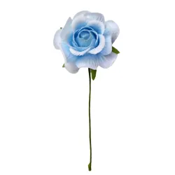 Vesuvius Rosa 7 cm 36 st