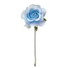 Rosa Vesuvio 7 cm pz.36