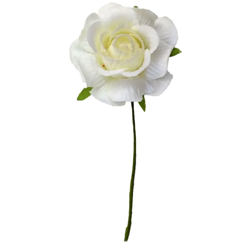 Rosa Vesuvio 7 cm pz 36 | ChartaRè