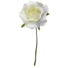 Rosa Vesuvio 7 cm pz 36 | ChartaRè