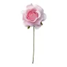 Rosa Vesuvio 7 cm pz.36