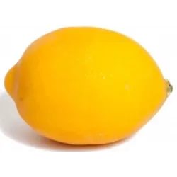 Διακοσμητικό Faux Lemon diam. 10 εκ.