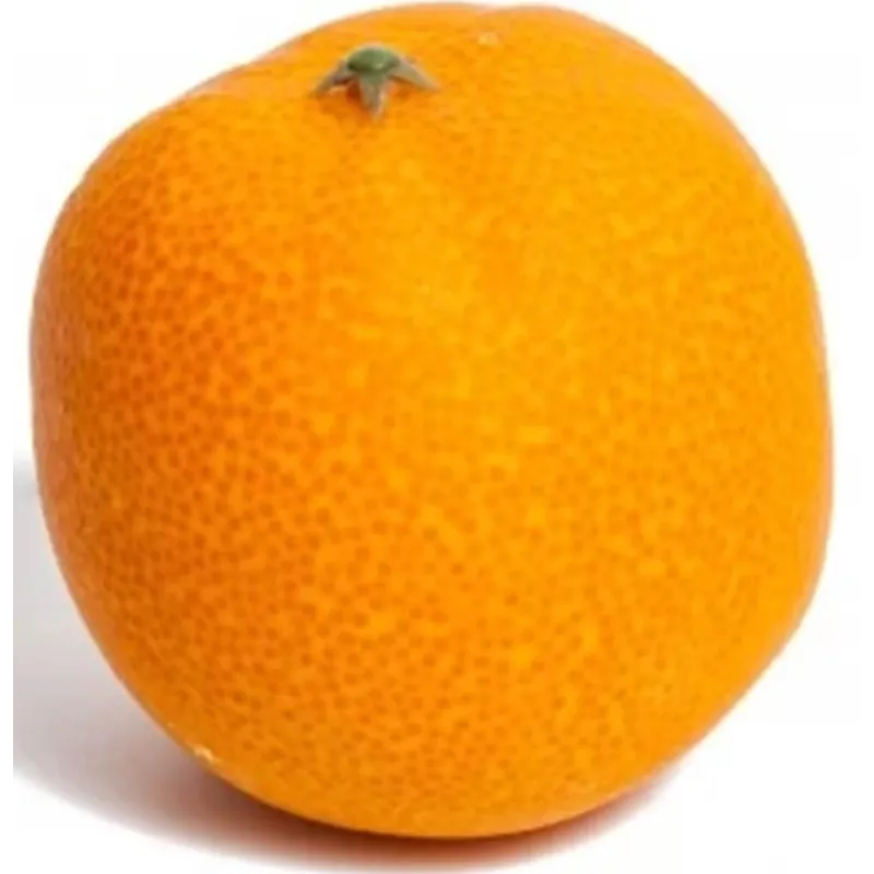 Decorative Fake Orange diam. 8 cm