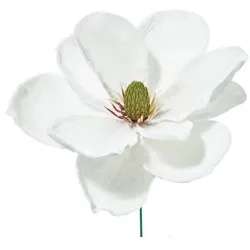 Pick Magnolia Deluxe Velvet WHITE