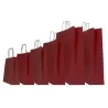 Colored Paper Shopper with Lanyard Handle - 25 pieces