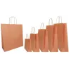 Colored Paper Shopper with Lanyard Handle - 25 pieces