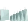 Colored Paper Shopper with Lanyard Handle - 25 pieces
