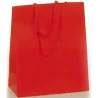Luxury shopping bag in colored plasticized paper with drawstring, pack of 12 pcs