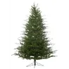 Albero Di Natale Stanford