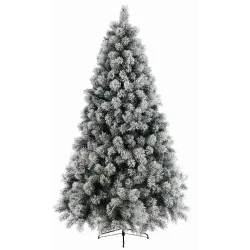 Árbol nevado Pino de Vancouver