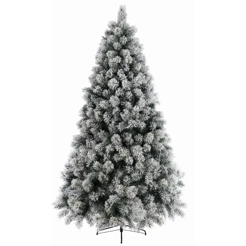 Albero Snowy Vancouver Pine