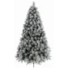 Albero Snowy Vancouver Pine