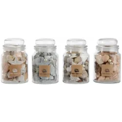 Jar with shells assorted colors