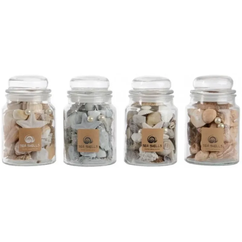 Jar with shells assorted colors