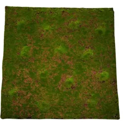 Moss Tile Cm 100x100