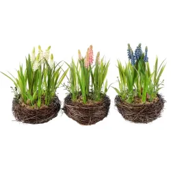 Φωλιά με Muscari cm 25 Ποικιλία Χρωμάτων