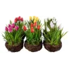 Nido con Tulipanes cm 25 Colores Surtidos