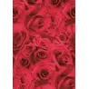 Red Rose Patterned Paper