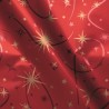 50 Buste Regalo Orione Rosso