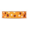 Coccinelle Ribbon mm 25x20 mt in Two Colors