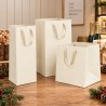 Ivory Paper Shopper with Tape Handle and Wide Bottom, 3 Sizes