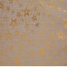Buste Regalo Fabric Star Assortite in 5 Colori | ChartaRè